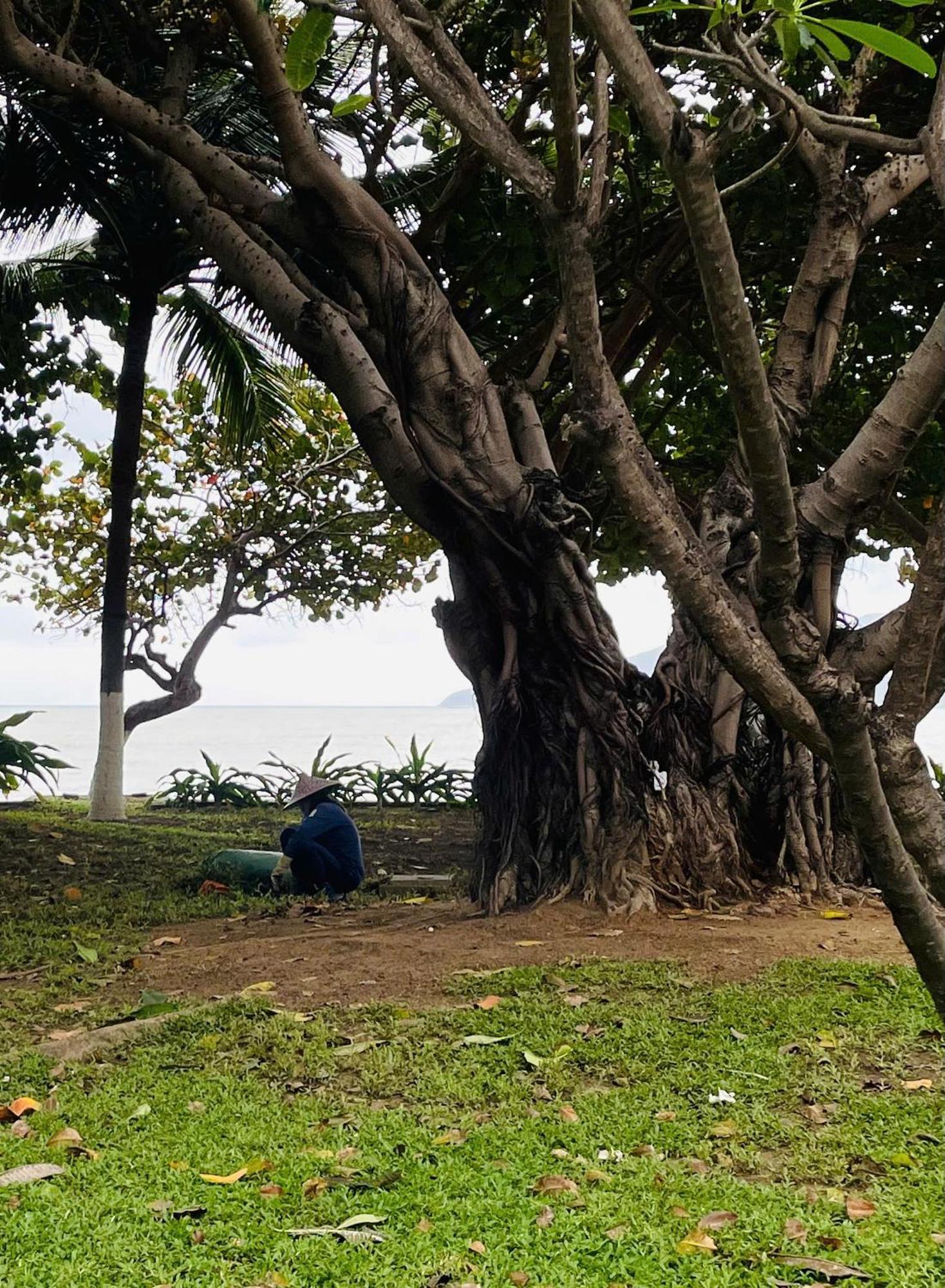 Nhi Phi Hotel Nha Trang Zewnętrze zdjęcie